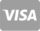 visa icon